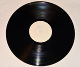 Lynyrd Skynyrd - Live Dixie Special