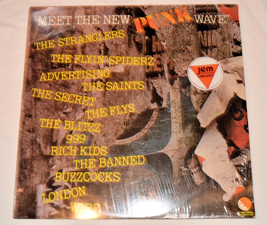 Various - Meet the New Punk Wave