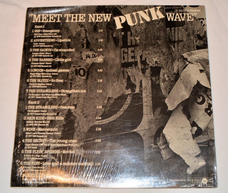 Various - Meet the New Punk Wave