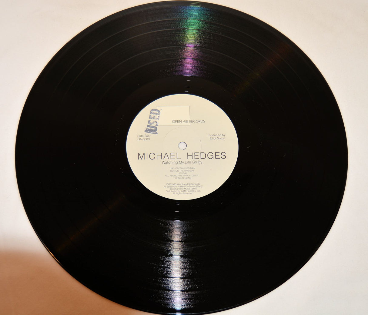 Hedges, Michael - Watching My Life Go By