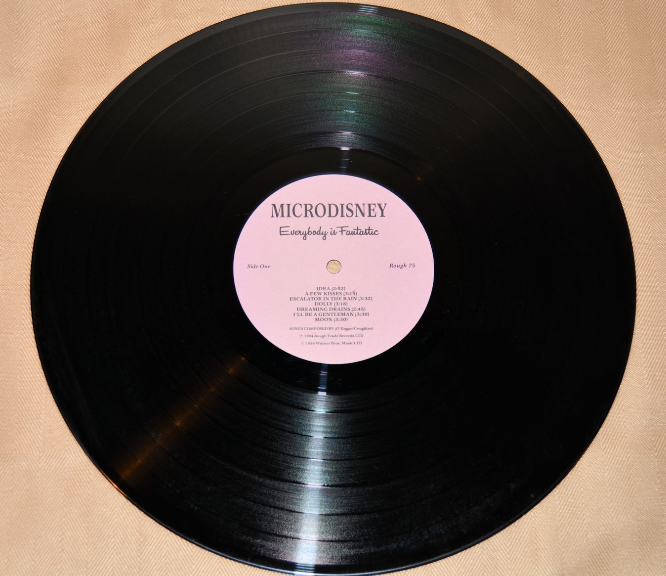 Microdisney - Everybody Is Fantastic