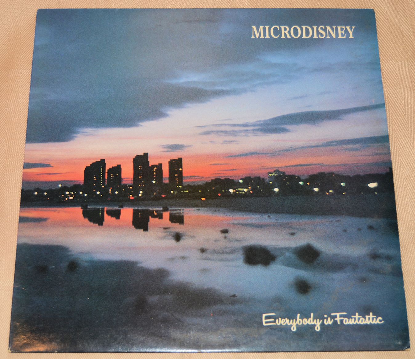 Microdisney - Everybody Is Fantastic