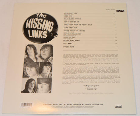 Missing Links - The Missing Links