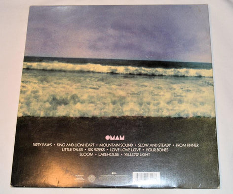 Of Monsters And Men - My Head Is An Animal