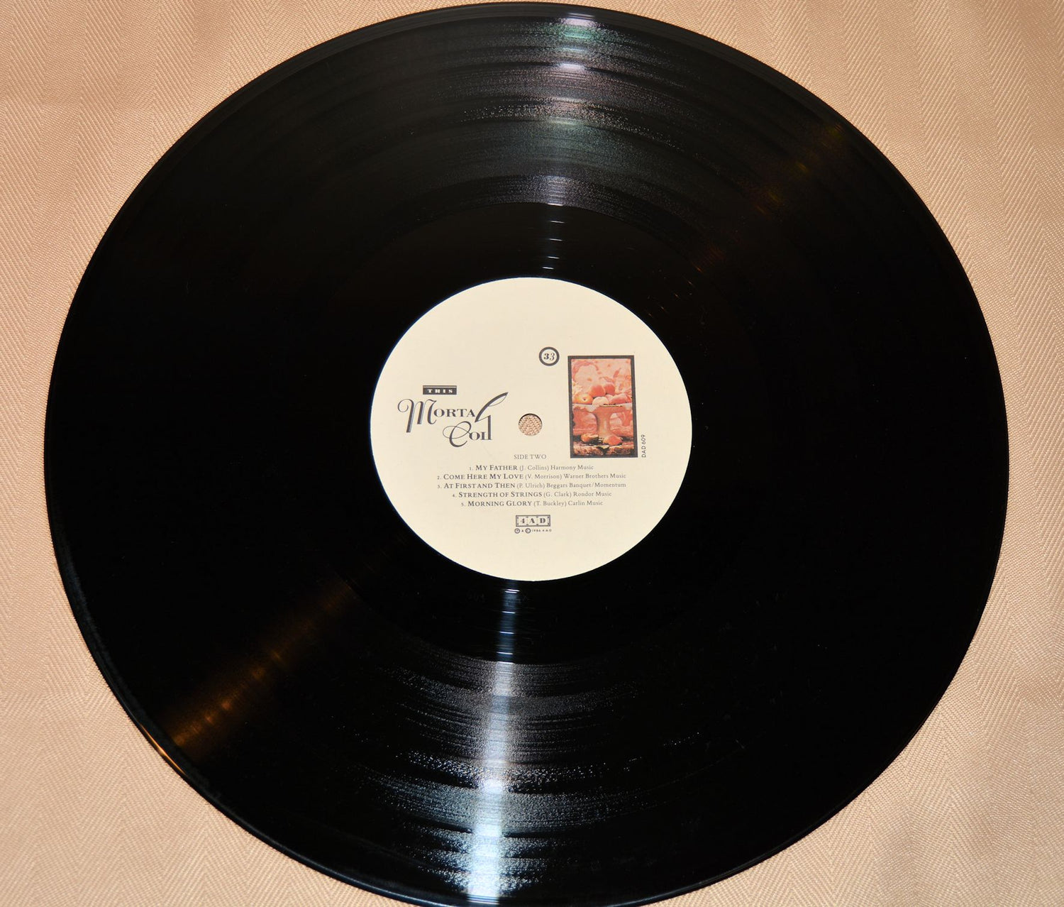 Mortal Coil, The - Filigree & Shadow