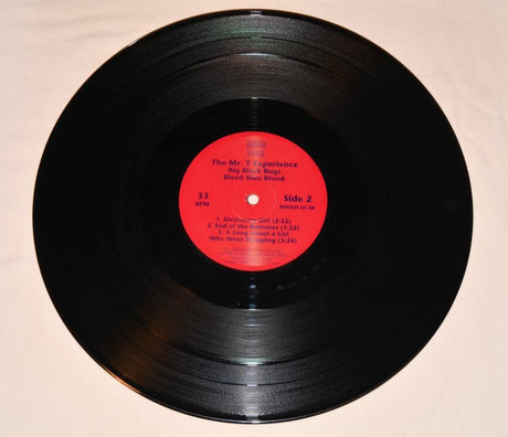 Mr T Experience - Big Black Bugs Bleed Blue Blood