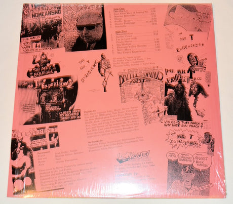 Mr. T Experience - Everybody's Entitled To Their Own Opinion