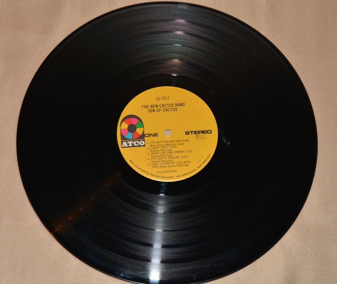 New Cactus Band, The - Son Of Cactus