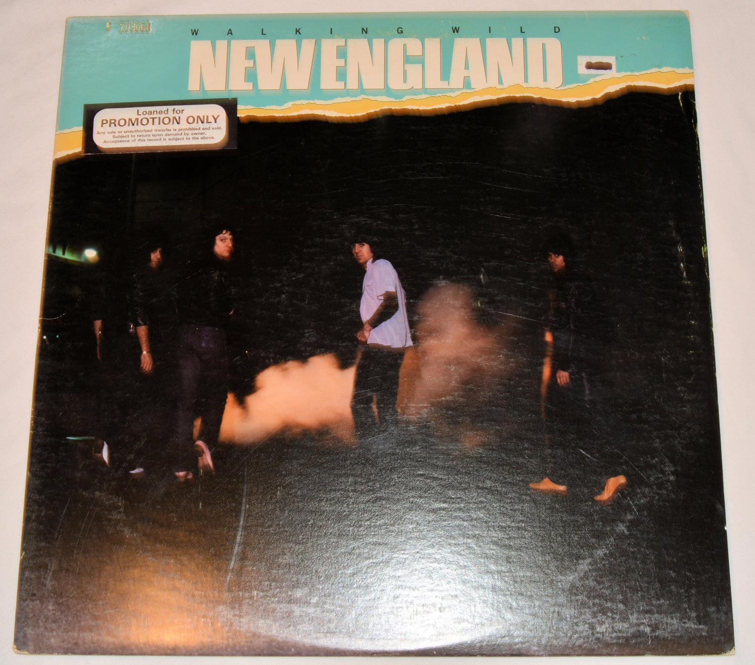 New England - Walking Wild