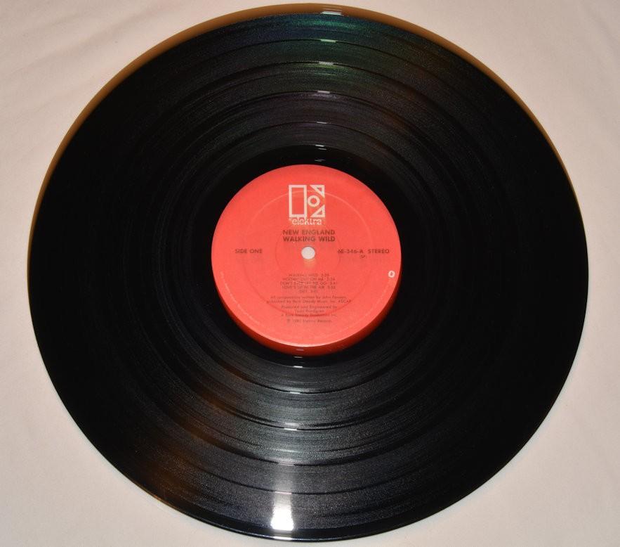 New England - Walking Wild