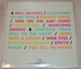 New Pornographers - Brill Bruisers