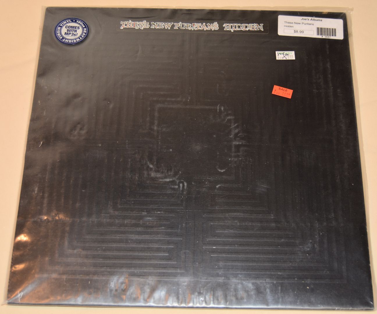 These New Puritans - Hidden