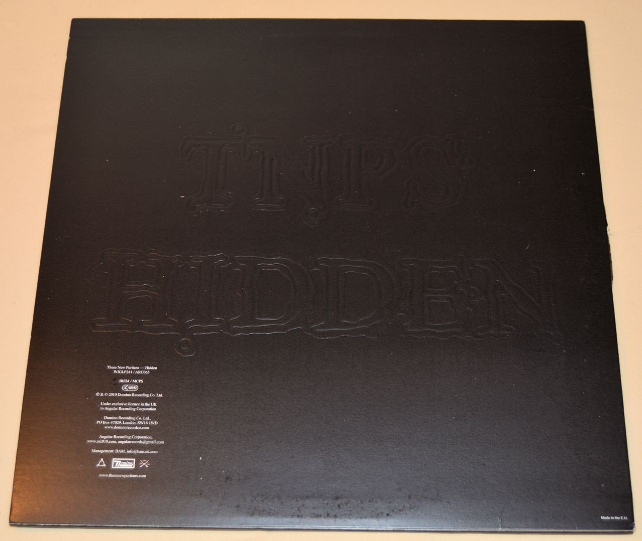 These New Puritans - Hidden