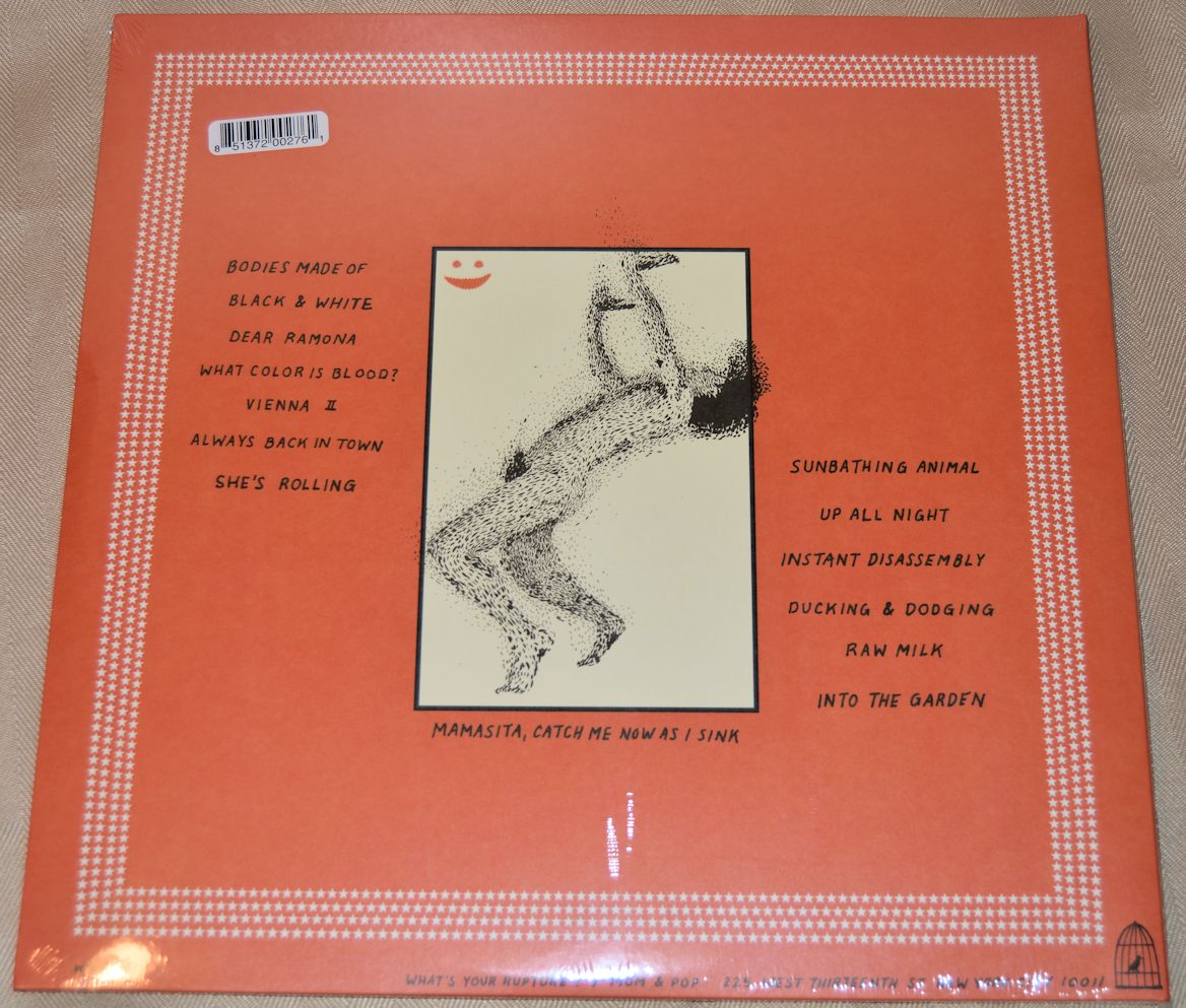 Parquet Courts - Sunbathing