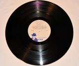 Banton, Pato - Visions Of The World