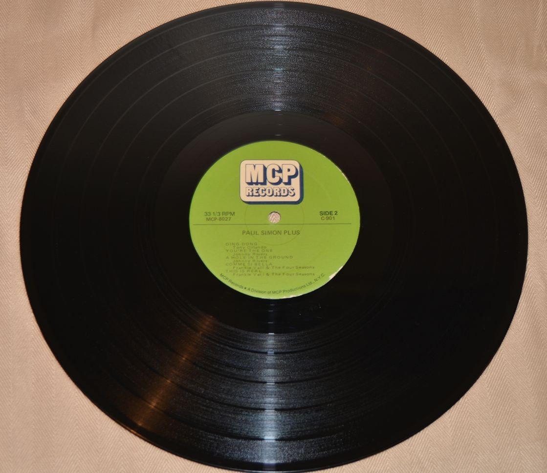 Various - Paul Simon Plus