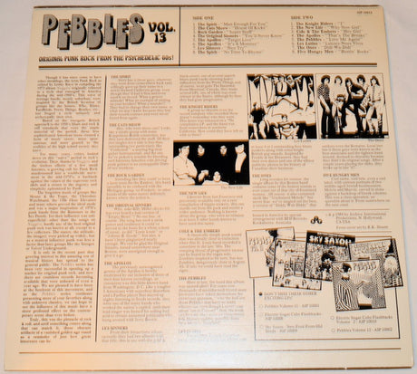 Various - Pebbles 13