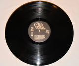 Pig - Sick City / Shit For Brains