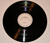 Poi Dog Pondering - Interchords