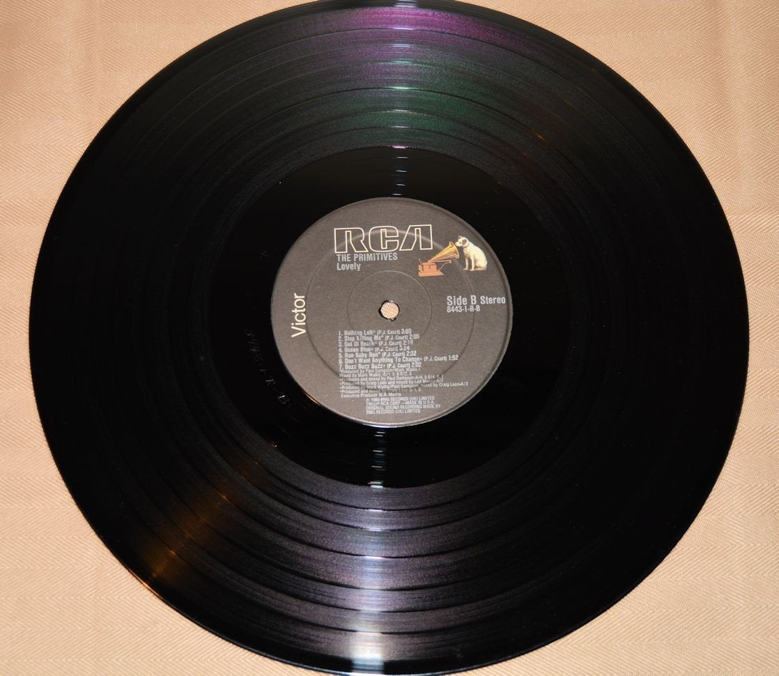 Primitives, The - The Primitives