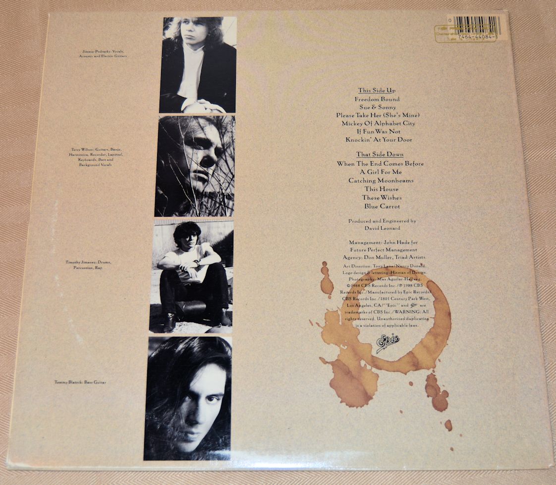 Rave Ups, The - The Book Of Your Regrets