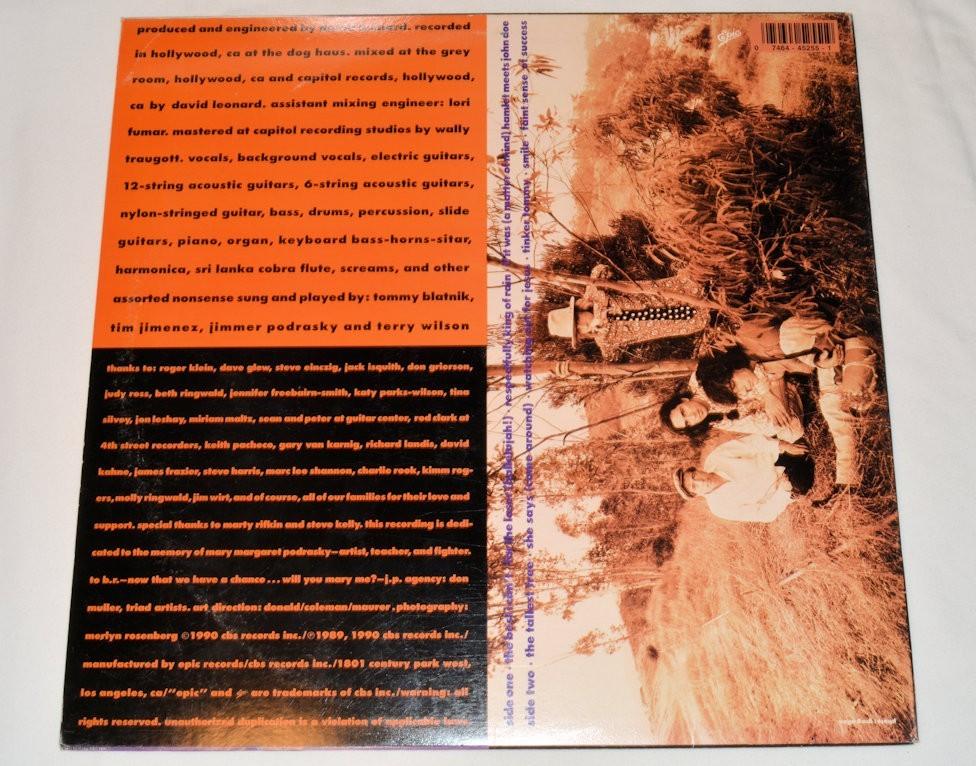 Rave-Ups, The - Chance