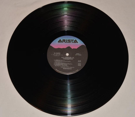 Parker, Ray Jr - Chartbusters