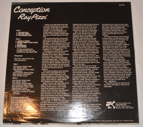 Pizzi, Ray - Conception