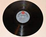 Havens, Richie - The Great Blind Degree