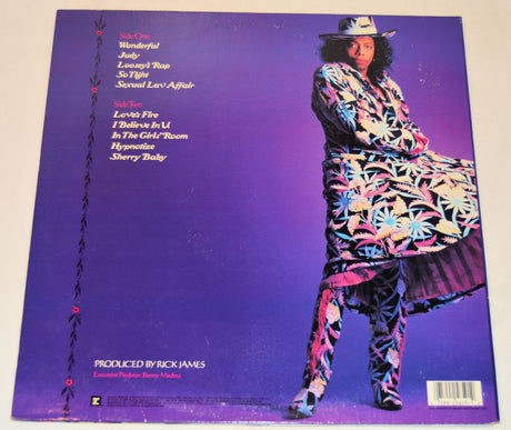 James, Rick - Wonderful