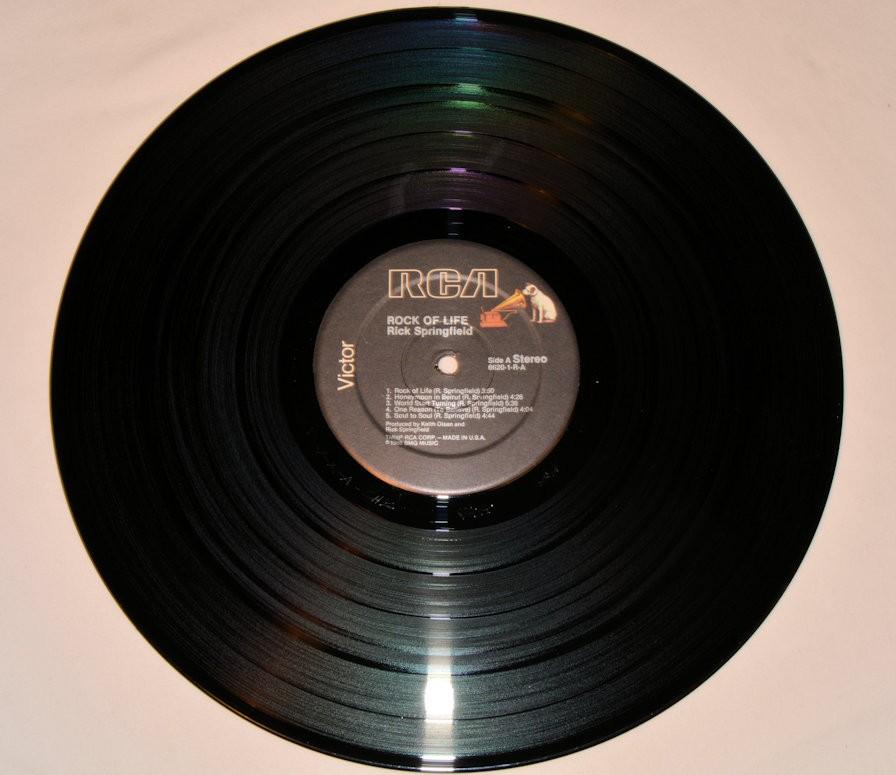 Springfield, Rick - Rock Of Life