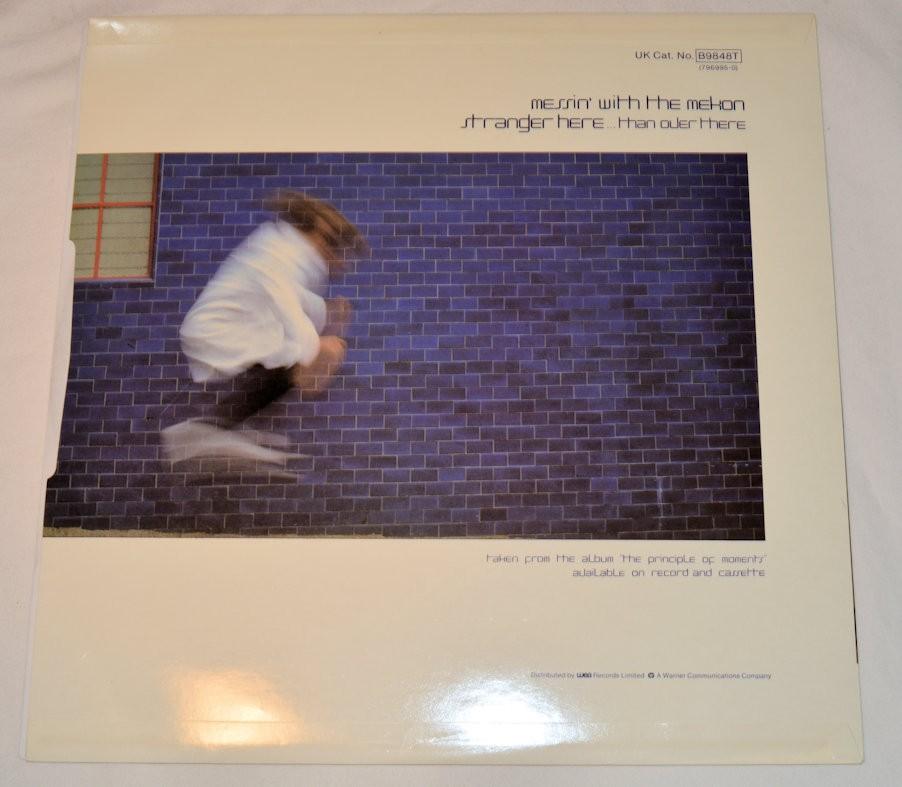 Plant, Robert - Big Log