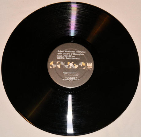 Hitchcock, Robyn - Interview With Deidre O'Donoghue