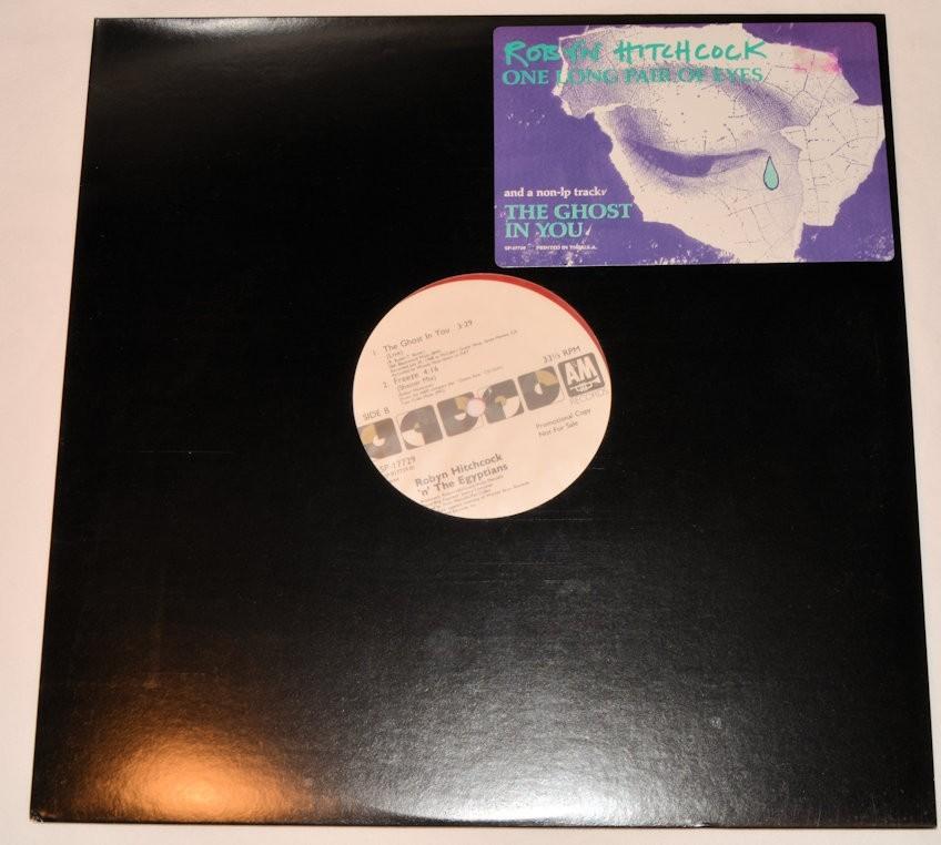 Hitchcock, Robyn - One Long Pair Of Eyes