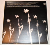 Rockin' Horse - Yes It Is