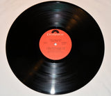 Gallagher, Rory - Irish Tour '74