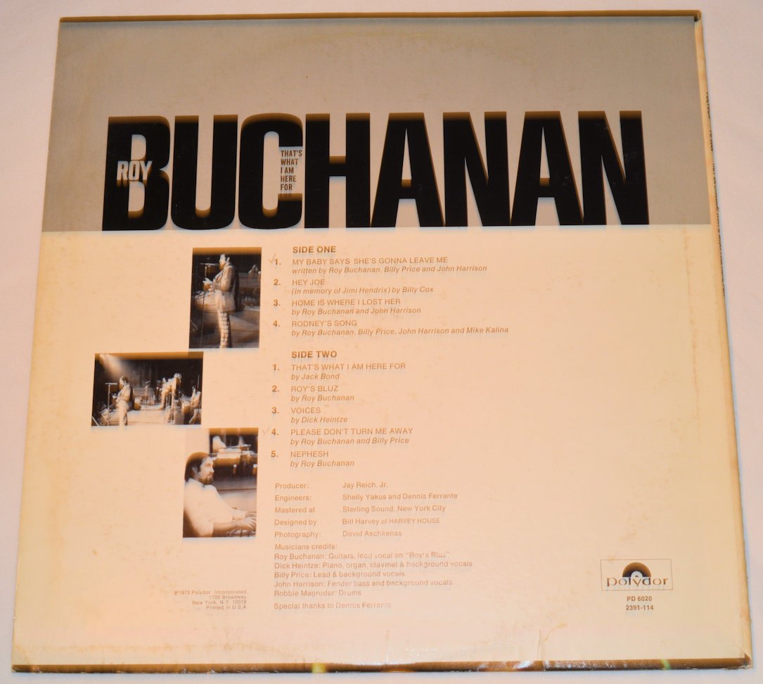 Buchanan, Roy - That's What I Am Here For