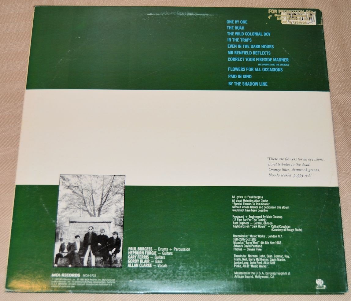 Ruefrex - Flowers For All Occasions