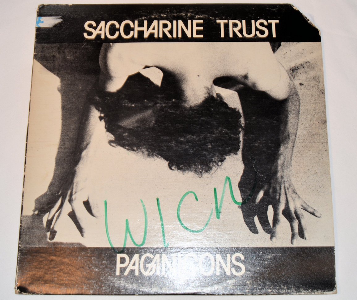 Saccharine Trust Pagan Icons Joe's Albums