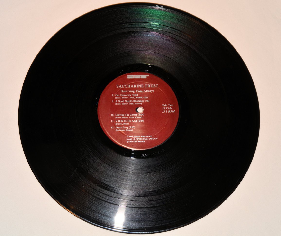 Saccharine Trust - Surviving You, Always