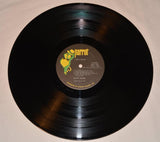 Savoy Brown - Lion's Share