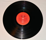 Schon & Hammer - Here To Stay