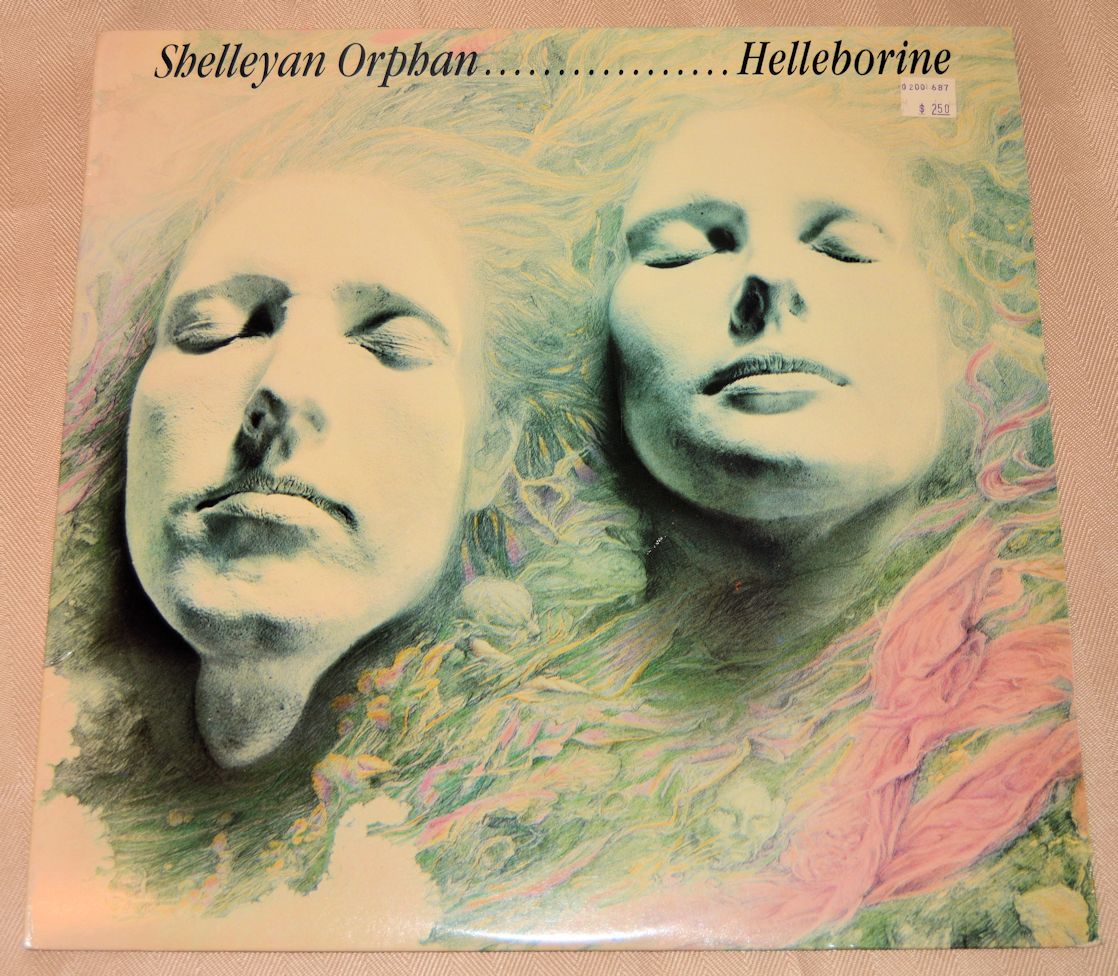 Orphan, Shelleyan - Helleborine