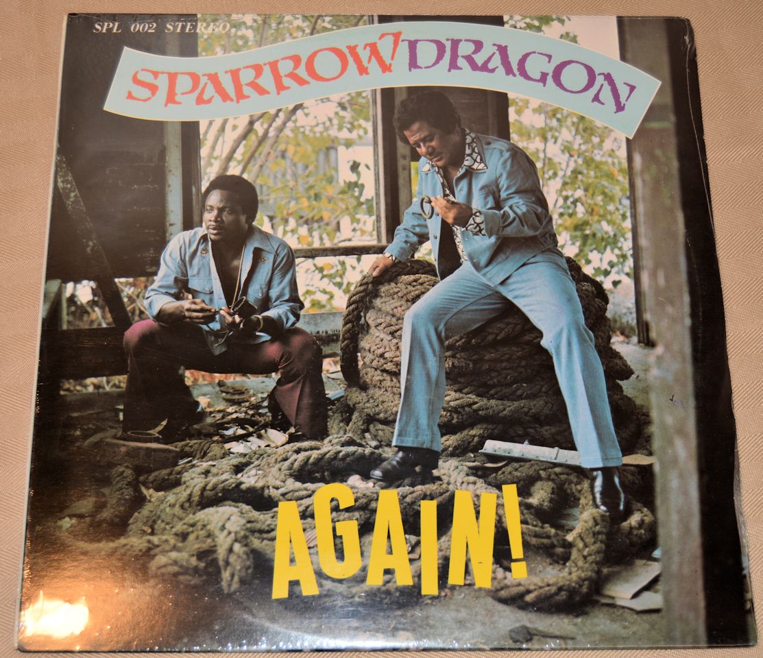 Sparrow Dragon - Again