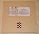 Bunny Brains 88 - Squirrel Attack