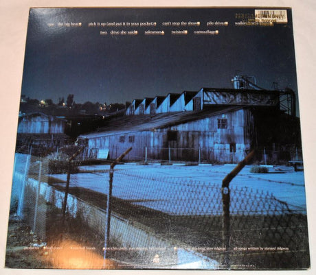 Ridgway, Stan - The Big Heat