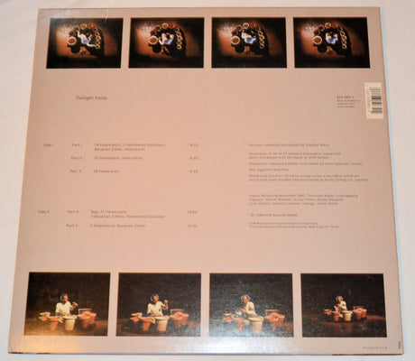 Micus, Stephan - Twilight Fields