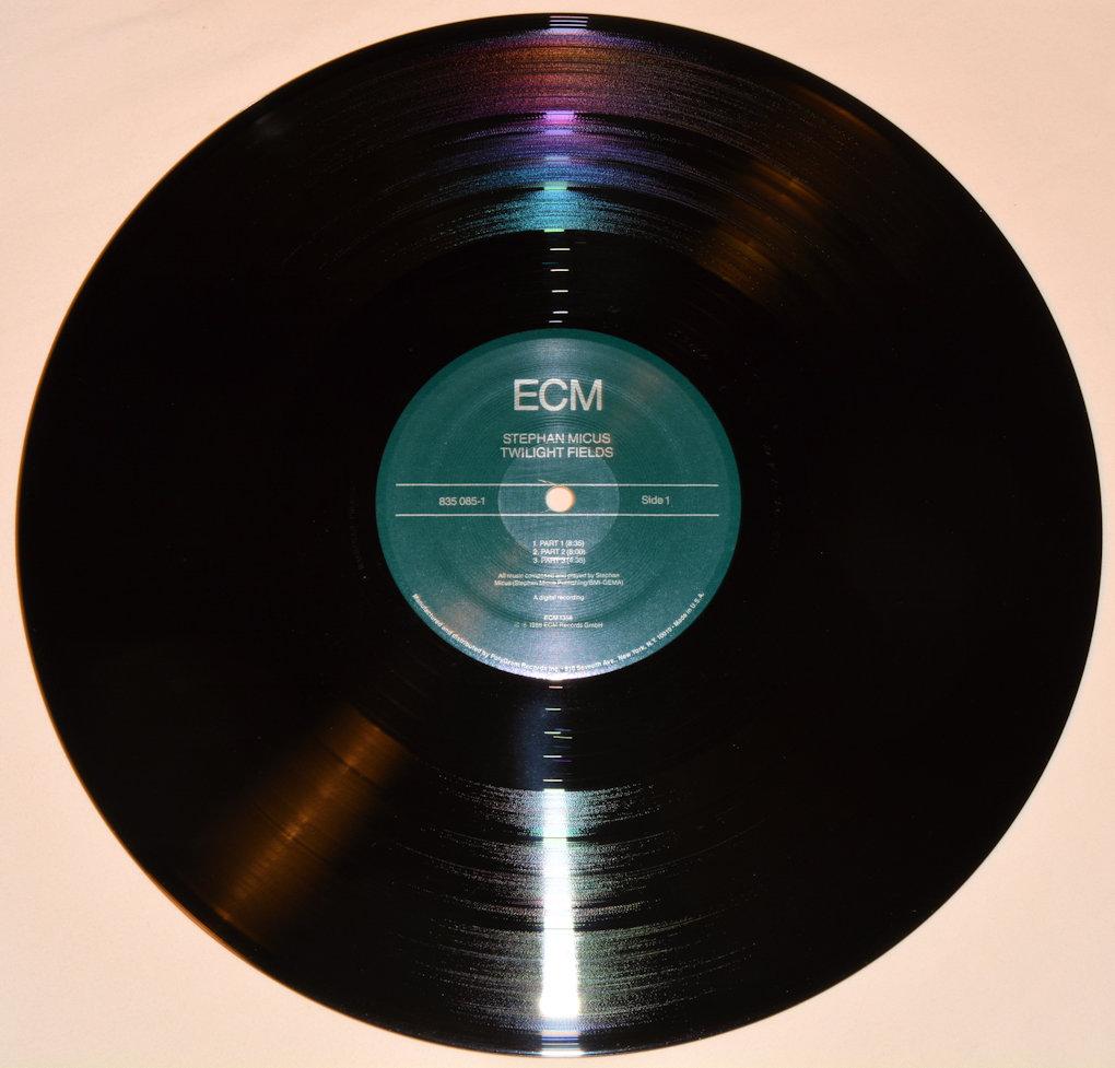 Micus, Stephan - Twilight Fields