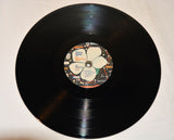 Earle, Steve & Del McCoury Band - The Mountain