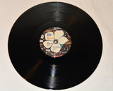 Earle, Steve & Del McCoury Band - The Mountain